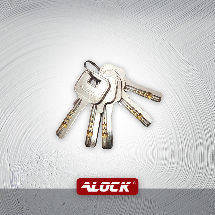 قفل حیاطی برقی ALOCK【مخصوص درب ورودی حیاط و پارکینگ】